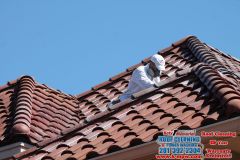 10_03_14_Tile_Roof_Cleaning_Royal_Oaks_54.jpg