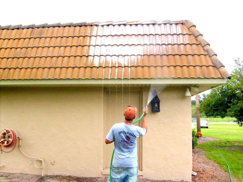 roof%2520cleaning%2520029.jpg