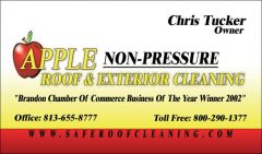 Roof%2520Tampa%2520Cleaning 002