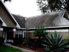Non Pressure roof Cleaning Tampa 33601 florida%252011 11 2009%25202 28 02%2520AM