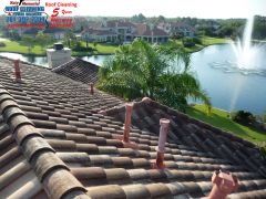 Tile Roof before Cleaning